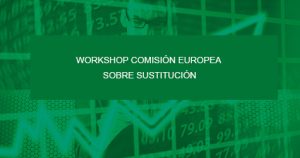 workshop Comisión Europea sobre sustitucion